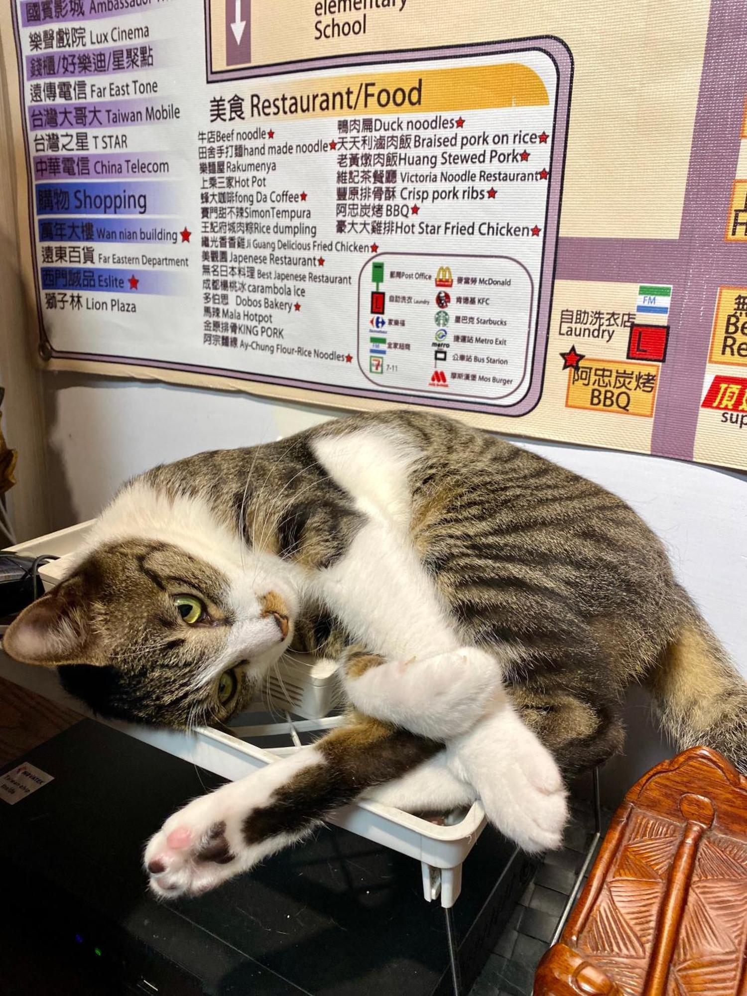 Taipei Triple Tiger Inn Εξωτερικό φωτογραφία